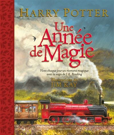 Harry Potter - Vivez chaque jour un moment magique : Harry Potter - Une année de magie