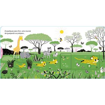 Promenade dans la savane