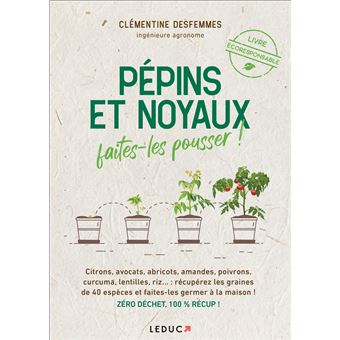 Pépins et noyaux, faites-les pousser !