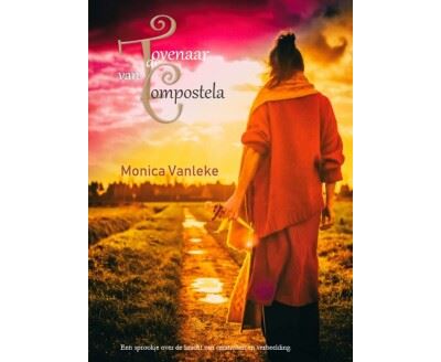 De Tovenaar van Compostela