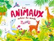 Les animaux autour du monde en relief