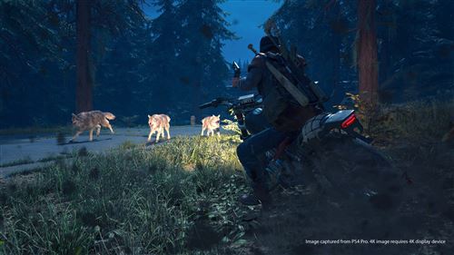 Days-Gone-PS4.jpg