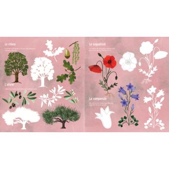 Je découvre les arbres et les fleurs