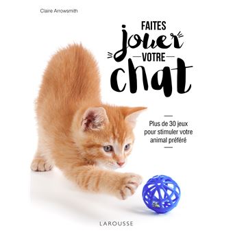 Faites jouer votre chat !