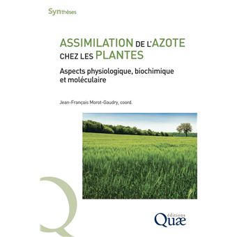 Assimilation de l'azote chez les plantes