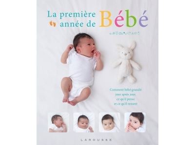 La Premiere Annee De Bebe Jour Apres Jour Cartonne Collectif Achat Livre Fnac