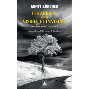 Les Arbres, entre visible et invisible