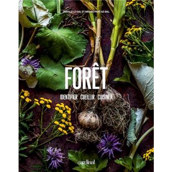Forêt