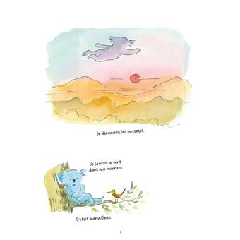 La philosophie koala