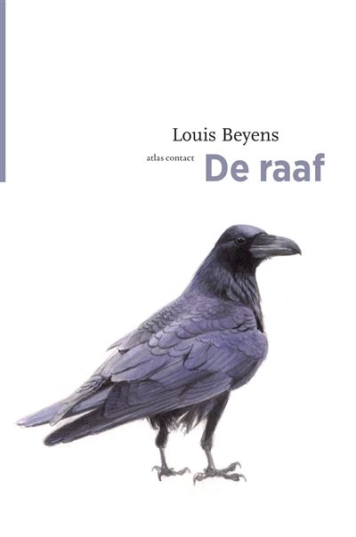 De raaf