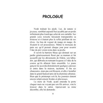 Noah et le trésor de l'arc-en-ciel