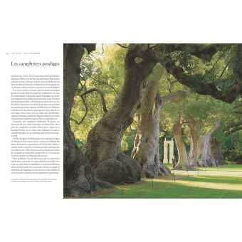 Le tour du monde en 80 arbres (petit format)