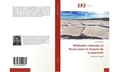 Methodes robustes et floues pour la mesure de la pauvrete