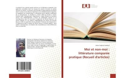 Moi et non-moi : littérature comparée pratique (Recueil d'articles)