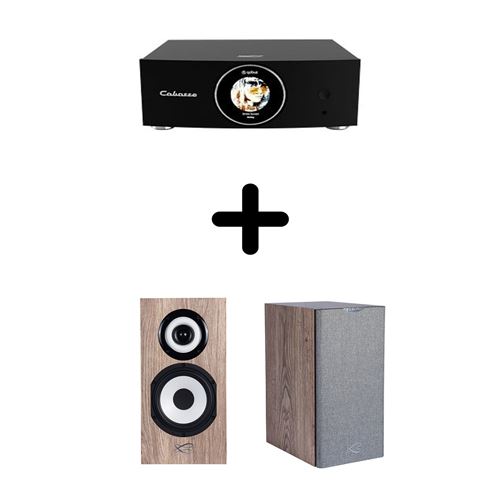 Un Ampli Cabasse AMP 240S + une paire d'enceintes bibliothèque