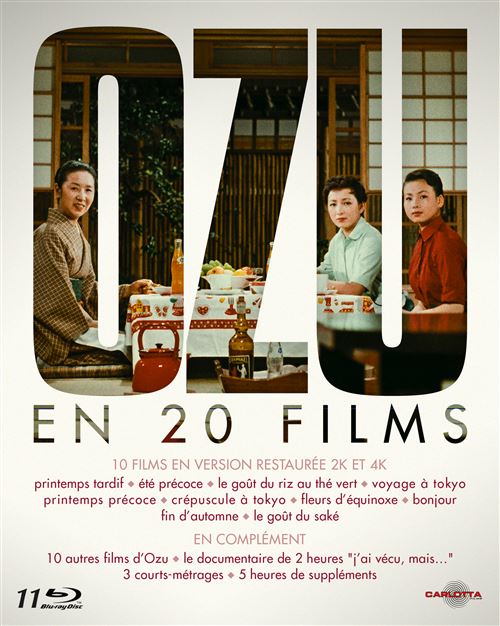 30% sur Coffret Ozu en 20 Films Blu-ray - Yasujiro Ozu - Blu-ray - Achat &  prix
