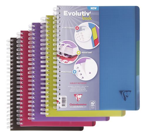 Linicolor reliure intégrale Clairefontaine A4 180 Pages Modèle aléatoire