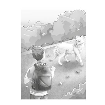 Le secret de la forêt