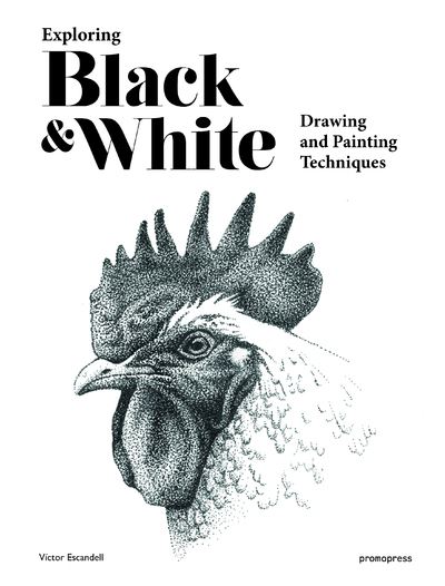 Exploring black and white drawing and painting techniques