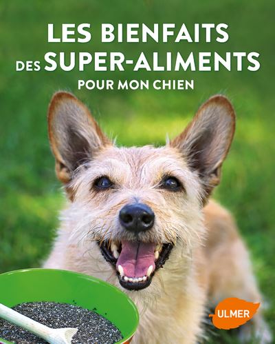 Les bienfaits des super aliments pour mon chien