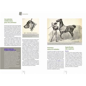 Soigner les animaux avec les plantes médicinales - Animaux domestiques et d'élevage