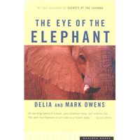 The Eye of the Elephant