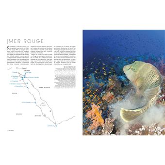 Le tour du monde en 80 plongées (petit format)