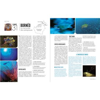 Le tour du monde en 80 plongées (petit format)