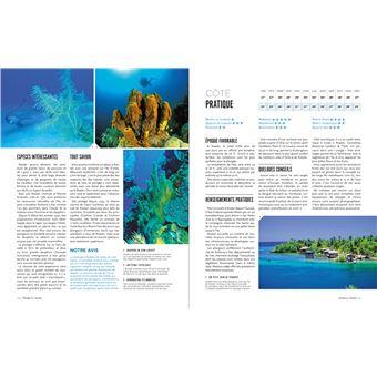 Le tour du monde en 80 plongées (petit format)