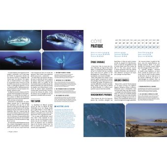 Le tour du monde en 80 plongées (petit format)