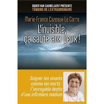 L Invisible Ca Saute Aux Yeux Broche Marie France Cazeaux Le Corre Achat Livre Ou Ebook Fnac