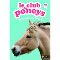 Club des poneys t10 un cadeau