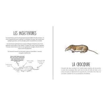 Les mammiferes sauvages