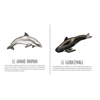 Les mammiferes sauvages