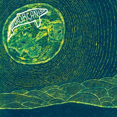 Superorganism Vinyle 180 gr Gatefold Inclus un livret de 4 pages et un coupon MP3