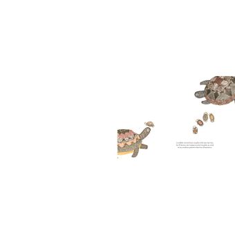 Merveilleuses Naissances