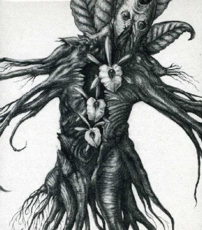 IV: Mandragora