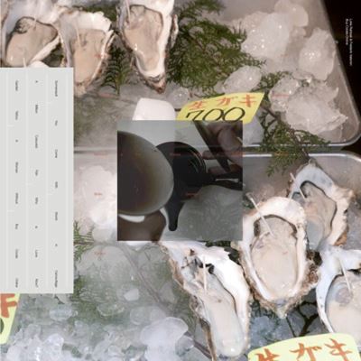 Buy corals online