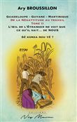 Guadeloupe, Guyane, Martinique de la Nègattitude au travail