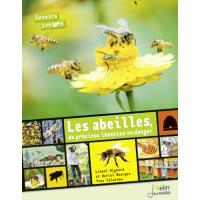 Les abeilles, de precieux insectes en danger ne