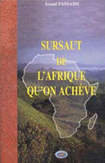 Sursaut de l'afrique qu'on acheve