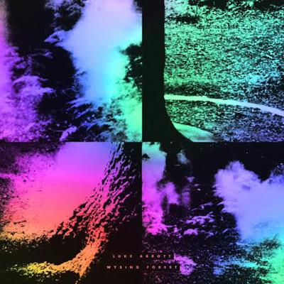 Wysing forest - Digipack