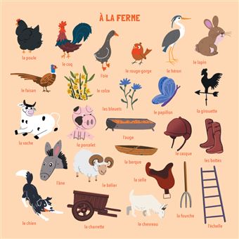 Mon tout premier cherche et trouve à la ferme