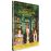 A bord du Darjeeling DVD_0