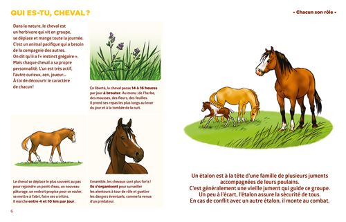 Simplissime - Le livre d'équitation le + facile du monde