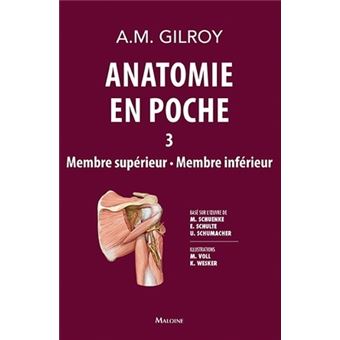 Anatomie en poche vol 3