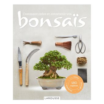 Trousse d'entretien pour bonsaï