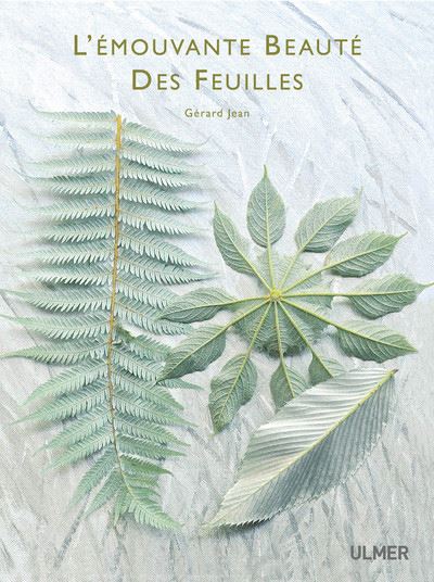 L'emouvante beaute des feuilles