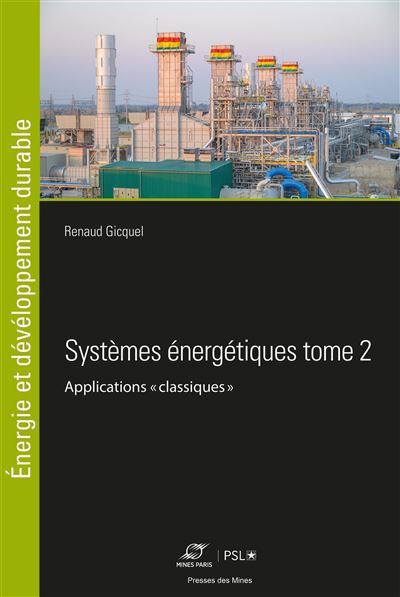 Systèmes énergétiques - Renaud Gicquel - broché