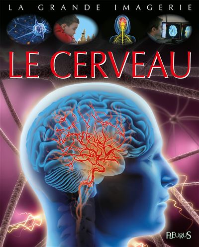 Le cerveau - cartonné - Jacques Beaumont - Achat Livre